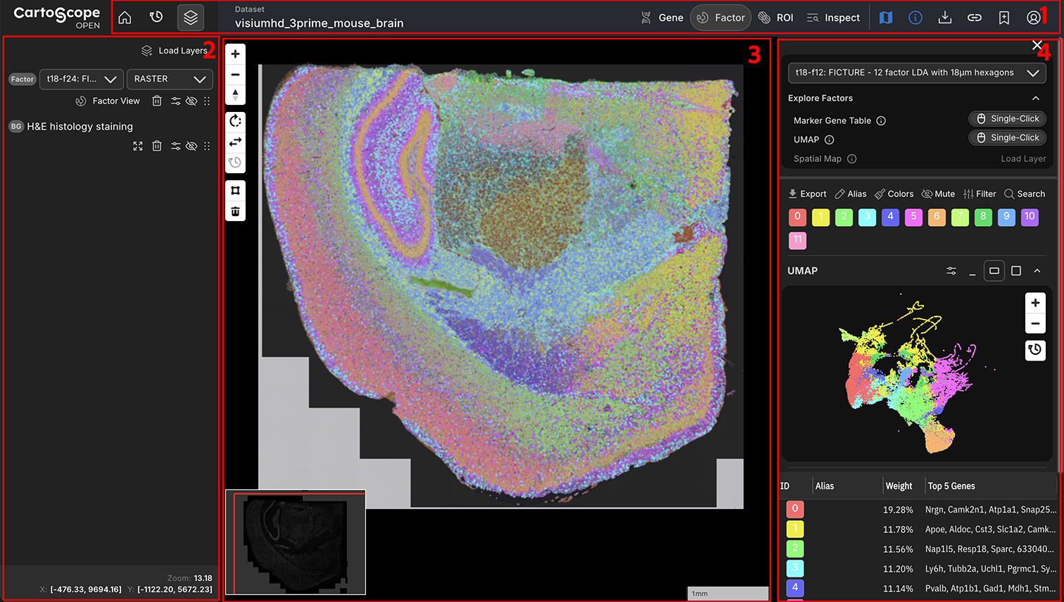 CartoScope Interface